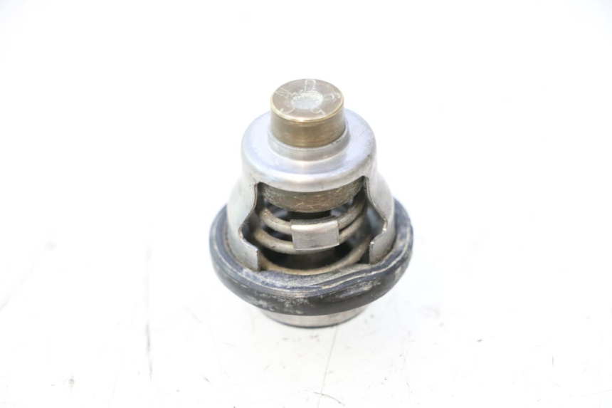 photo de THERMOSTAT  SUZUKI SMX SUPERMOTARD 50 (1996 - 2001) - Zoom auf Gebrauchszustand