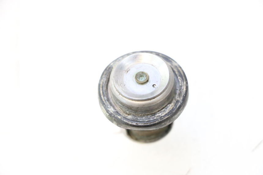 photo de THERMOSTAT  SUZUKI SMX SUPERMOTARD 50 (1996 - 2001) - Alternative Perspektive
