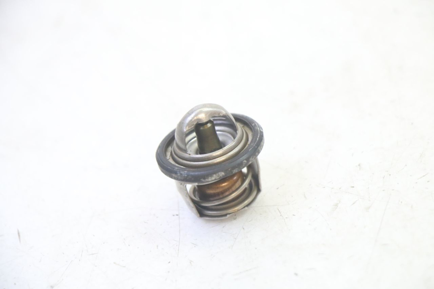 photo de THERMOSTAT  YAMAHA X-MAX XMAX 125 (2010 - 2013) - Hauptansicht