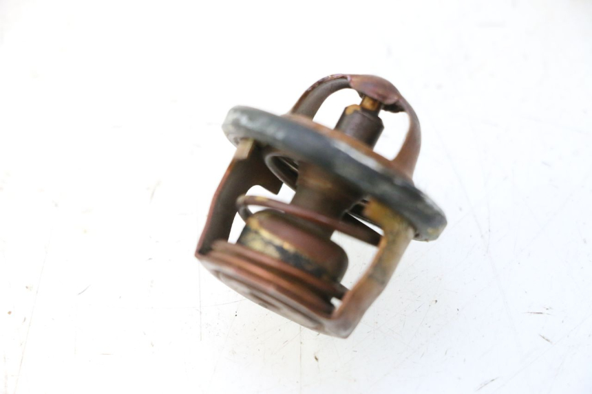 photo de THERMOSTAT  YAMAHA XMAX X-MAX 125 (2006 - 2009) - Hauptansicht