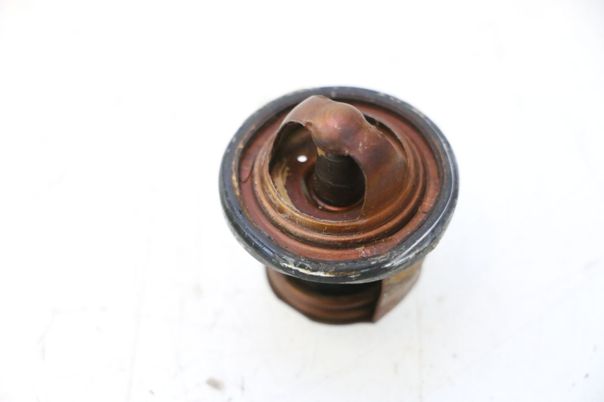 photo de THERMOSTAT  YAMAHA XMAX X-MAX 125 (2006 - 2009) - Alternative Perspektive