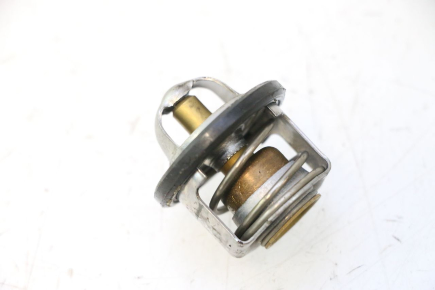 photo de THERMOSTAT  PIAGGIO X9 EVOLUTION 125 (2003 - 2007) - Hauptansicht