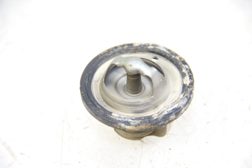 photo de THERMOSTAT  YAMAHA XP T-MAX TMAX 500 (2004 - 2007) - Zoom auf Gebrauchszustand