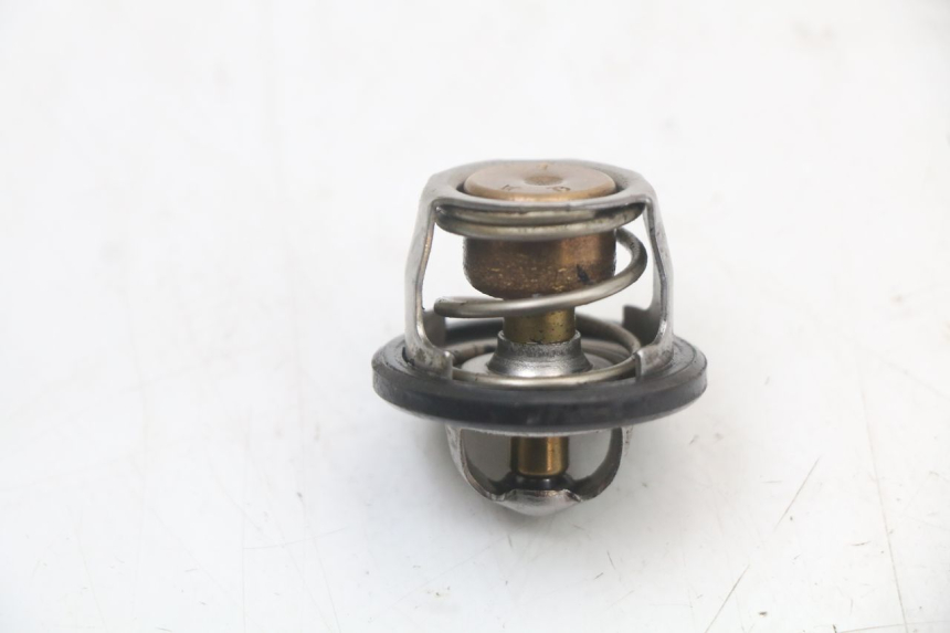 photo de THERMOSTAT  YAMAHA YP MAJESTY 125 (2002 - 2006) - Zoom auf Gebrauchszustand