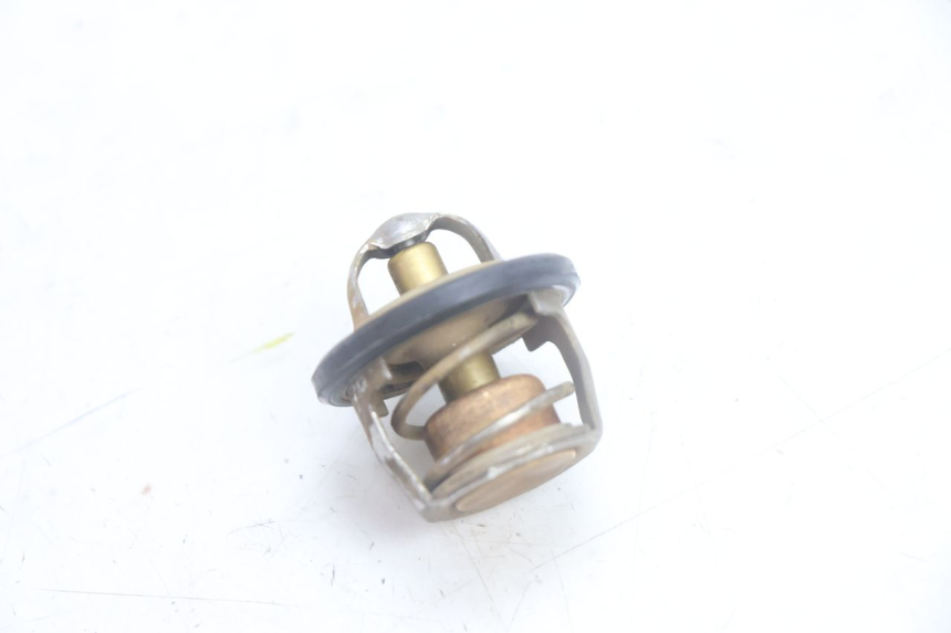 photo de THERMOSTAT  YAMAHA YP MAJESTY 125 (2002 - 2006) - Hauptansicht
