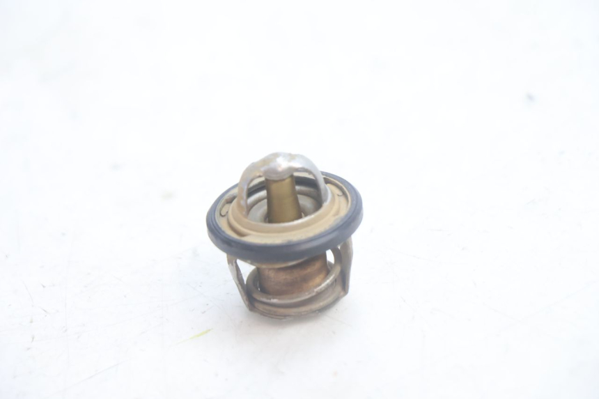 photo de THERMOSTAT  YAMAHA YP MAJESTY 125 (2002 - 2006) - Detailansicht des Bauteils