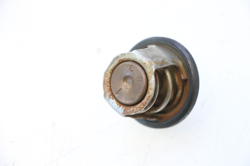 photo de THERMOSTAT  YAMAHA YP MAJESTY 125 (2007 - 2010) - Detailansicht des Bauteils