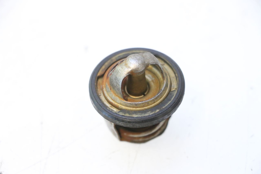 photo de THERMOSTAT  YAMAHA YP MAJESTY 125 (2007 - 2010) - Alternative Perspektive