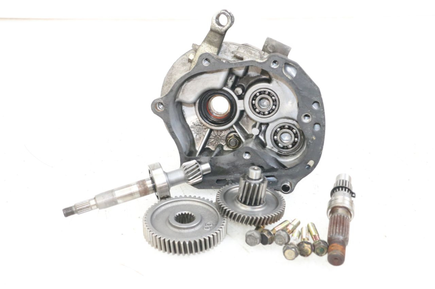 photo de GETRIEBE  KYMCO AGILITY PREMIUM 50 (2007 - 2010) - Detailansicht des Bauteils