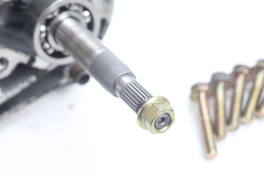 photo de GETRIEBE  KYMCO AGILITY PREMIUM 50 (2007 - 2010) - Details der Befestigungspunkte