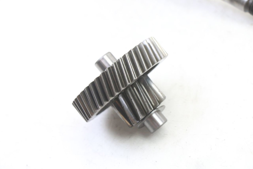 photo de RADANTRIEB SUZUKI BURGMAN 125 (2007 - 2014) - Charakteristische Merkmale