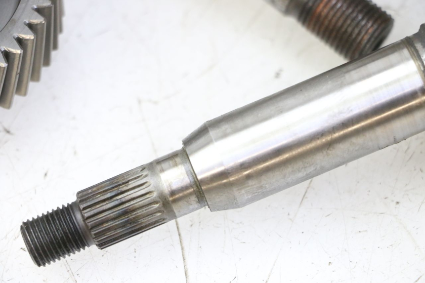 photo de RADANTRIEB SUZUKI BURGMAN 125 (2007 - 2014) - Charakteristische Merkmale