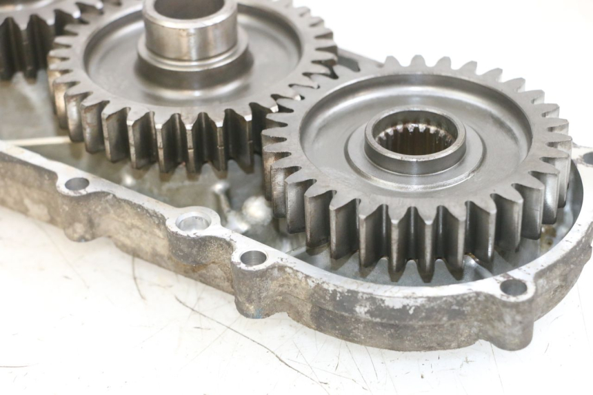 photo de GETRIEBE  SUZUKI BURGMAN 650 (2013 - 2020) - Alternative Perspektive