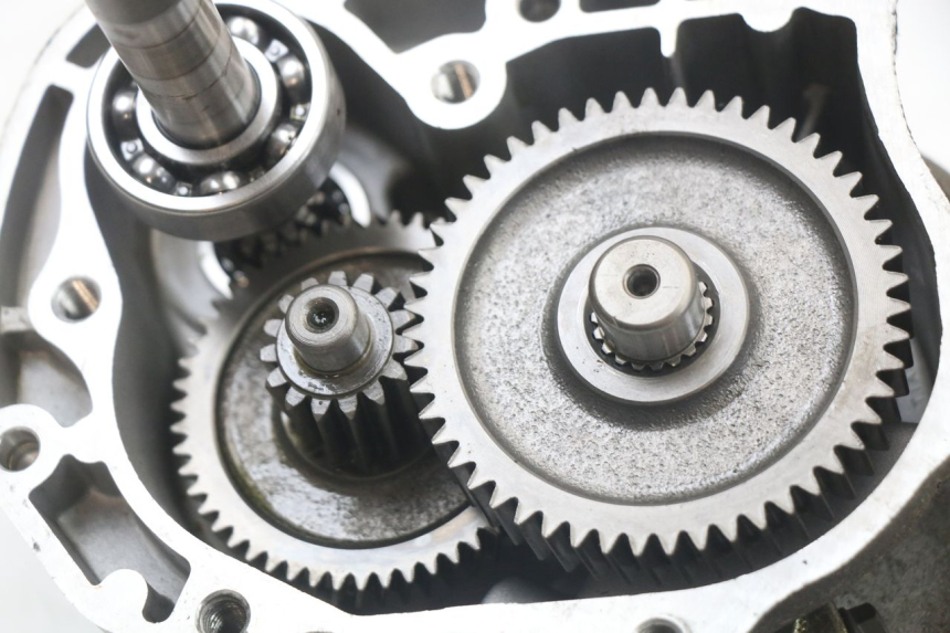 photo de RADANTRIEB LONGJIA DIGITA 4T 50 (2019 - 2022) - Zoom auf Gebrauchszustand