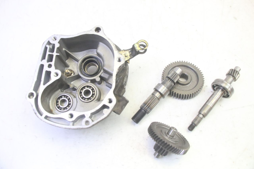 photo de RADANTRIEB LONGJIA DIGITA 4T 50 (2019 - 2022) - Hauptansicht