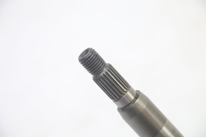 photo de RADANTRIEB LONGJIA DIGITA 4T 50 (2019 - 2022) - Hochauflösende Nahaufnahme