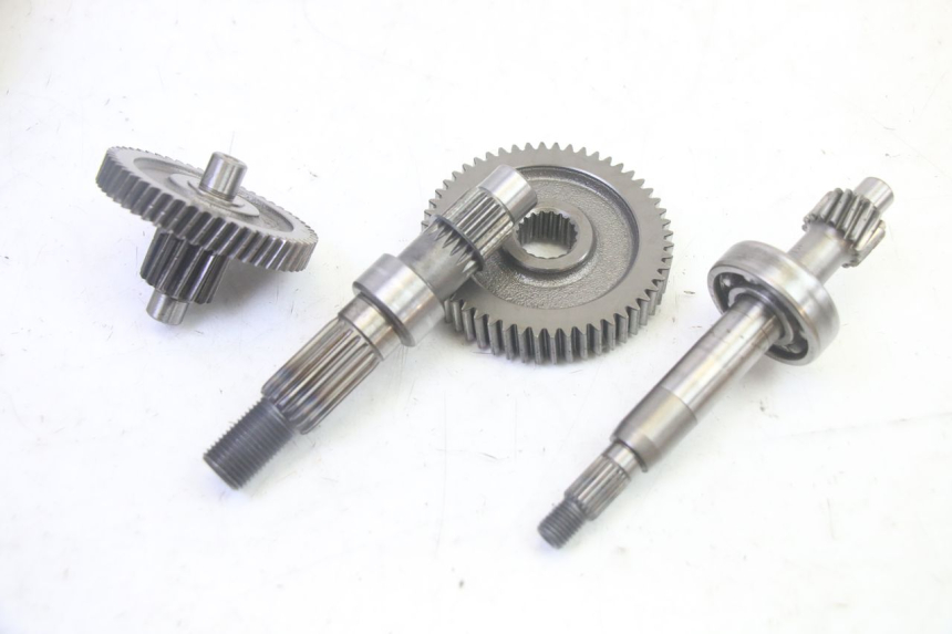 photo de RADANTRIEB LONGJIA DIGITA 4T 50 (2019 - 2022) - Alternative Perspektive