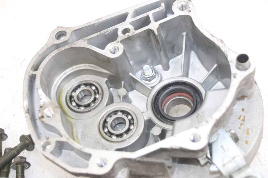 photo de RADANTRIEB JM MOTORS EVOLIS 4T 50 (2018 - 2022) - Hochauflösende Nahaufnahme