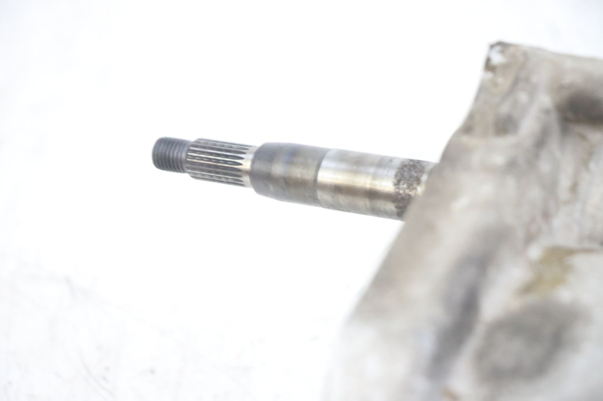 photo de RADANTRIEB JM MOTORS EVOLIS 4T 50 (2018 - 2022) - Technische Nahaufnahme