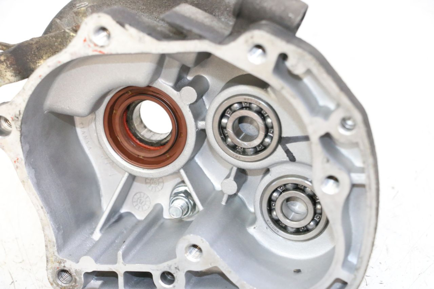 photo de RADANTRIEB JM MOTORS EVOLIS 4T 50 (2018 - 2022) - Oberflächenzustand und Material