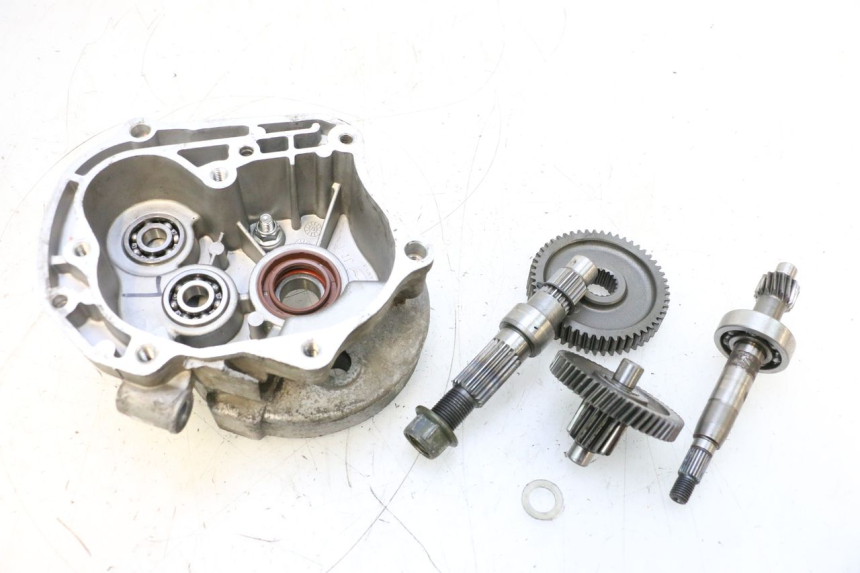 photo de RADANTRIEB JM MOTORS EVOLIS 4T 50 (2018 - 2022) - Technische Nahaufnahme