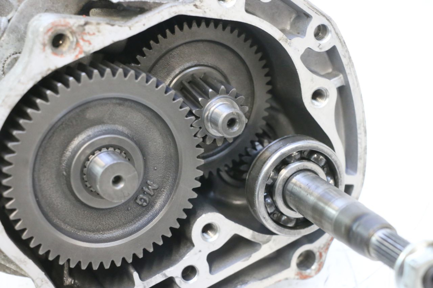 photo de GETRIEBE  JM MOTORS F45i 4T 50 (2020 - 2023) - Gesamtansicht des Produkts
