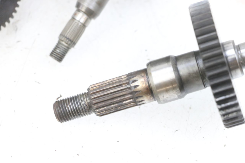 photo de RADANTRIEB PEUGEOT LUDIX 50 (2008 - 2017) - Oberflächenzustand und Material