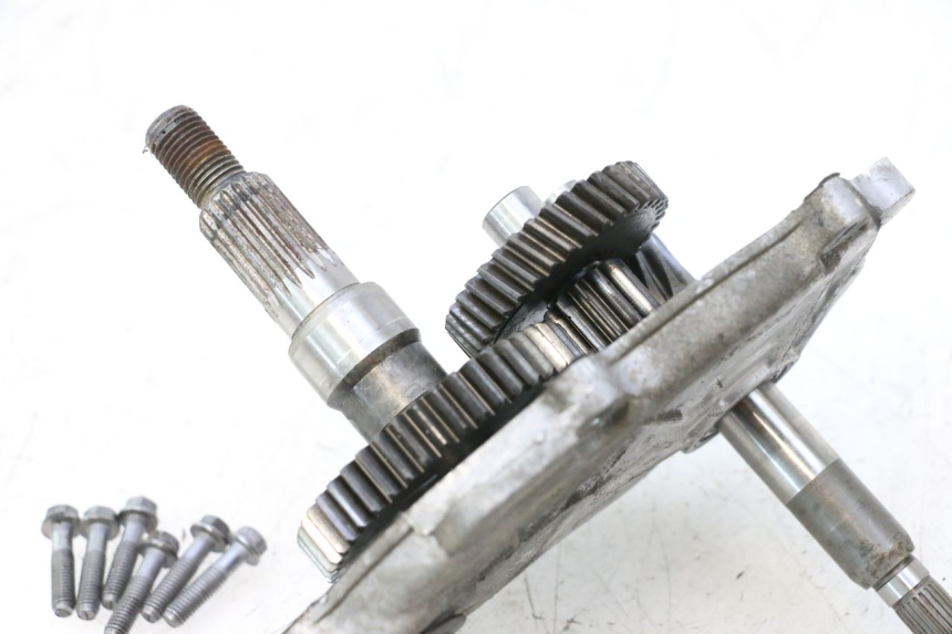photo de GETRIEBE  PEUGEOT LUDIX ONE 50 (2004 - 2013) - Technische Nahaufnahme
