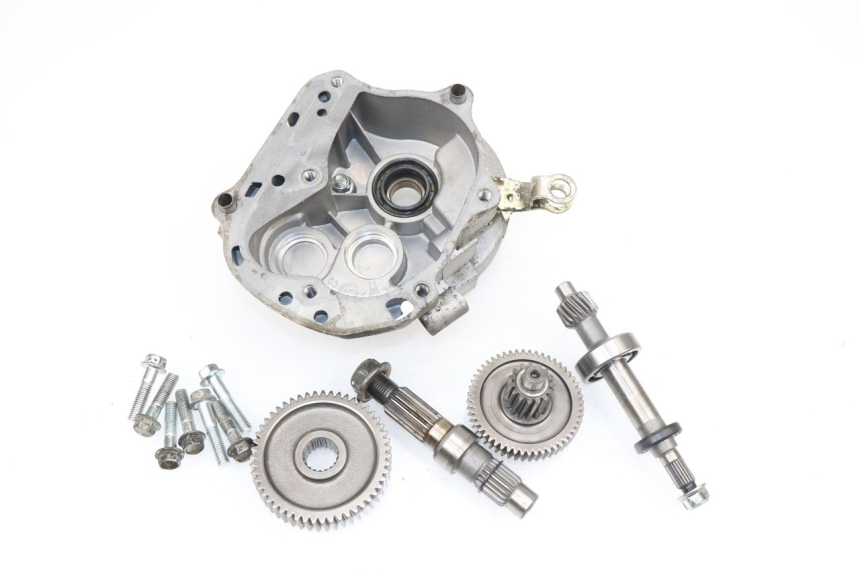 photo de GETRIEBE  SAMPO LY50QT-21 50 (2009 - 2014) - Hauptansicht