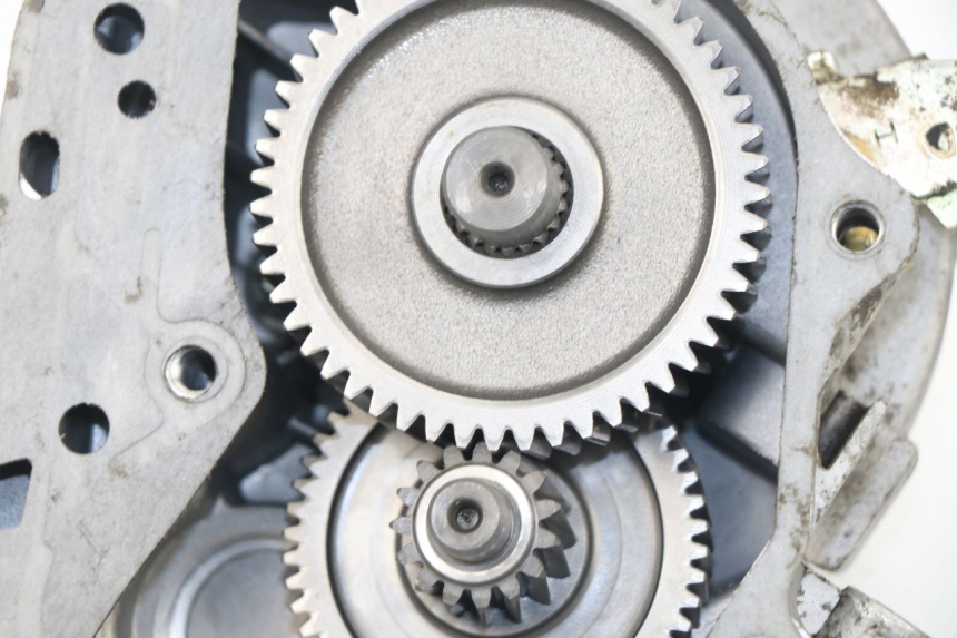 photo de GETRIEBE  SAMPO LY50QT-21 50 (2009 - 2014) - Detailansicht des Bauteils