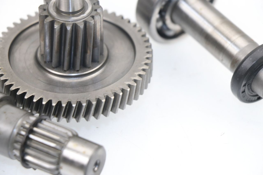 photo de GETRIEBE  SAMPO LY50QT-21 50 (2009 - 2014) - Technische Nahaufnahme