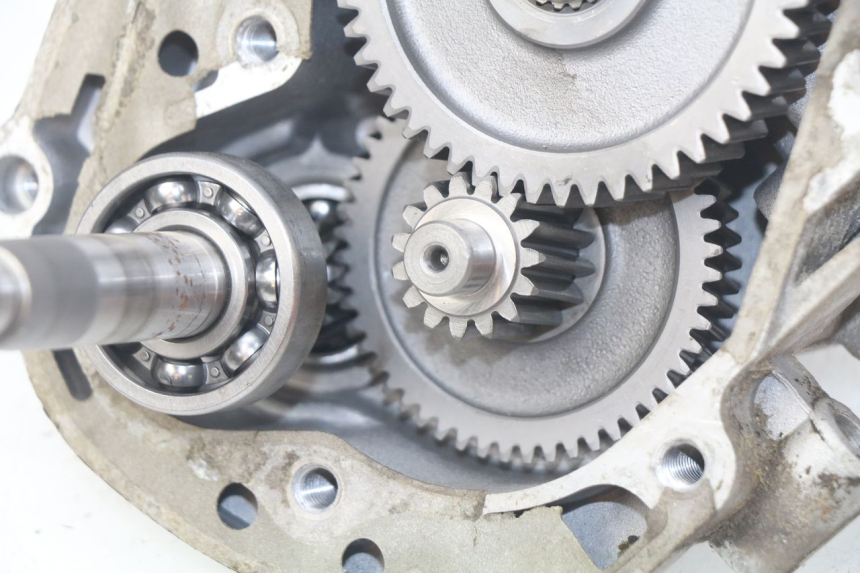 photo de RADANTRIEB JM MOTORS OLDIES 4T 50 (2010 - 2020) - Gesamtansicht des Produkts