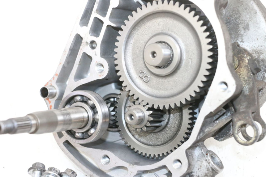 photo de RADANTRIEB JM MOTORS OLDIES 4T 50 (2010 - 2020) - Oberflächenzustand und Material