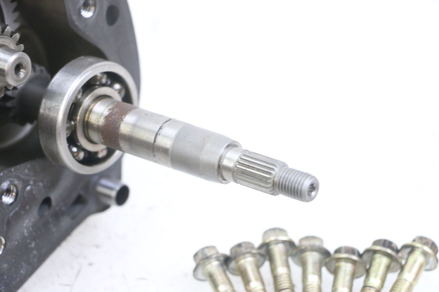 photo de RADANTRIEB TNT MOTOR ROMA 10' 4T 50 (2007 - 2018) - Technische Nahaufnahme