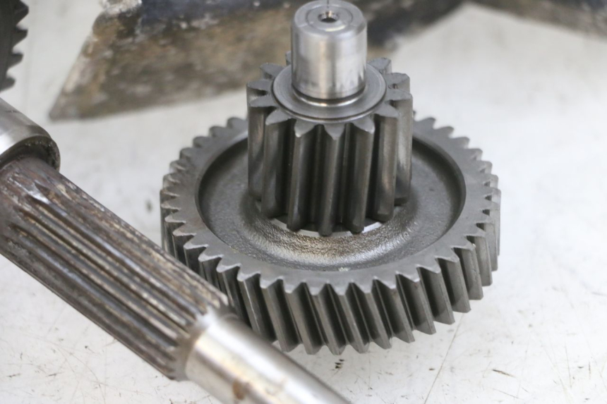 photo de RADANTRIEB DAELIM S1 125 (2007 - 2016) - Fokus auf die Struktur