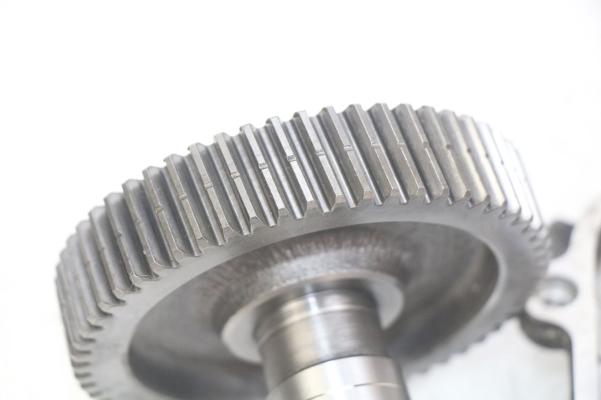 photo de RADANTRIEB APRILIA SCARABEO LIGHT 125 (2007 - 2011) - Alternativer Blickwinkel