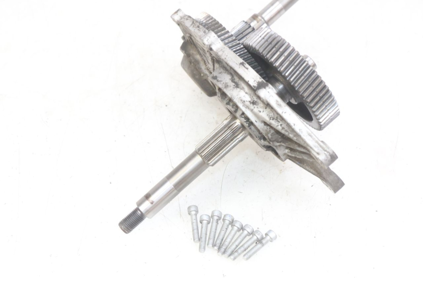 photo de RADANTRIEB APRILIA SCARABEO LIGHT 125 (2007 - 2011) - Alternative Perspektive