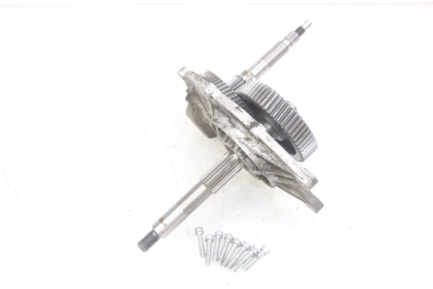 photo de RADANTRIEB APRILIA SCARABEO LIGHT 125 (2007 - 2011) - Details der Befestigungspunkte