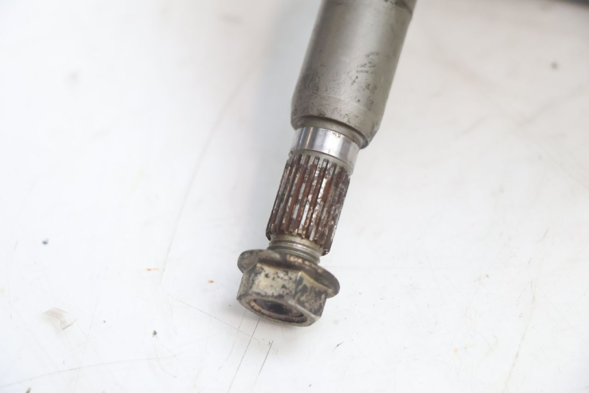 photo de GETRIEBE  PEUGEOT VIVACITY 50 (2004 - 2009) - Technische Nahaufnahme