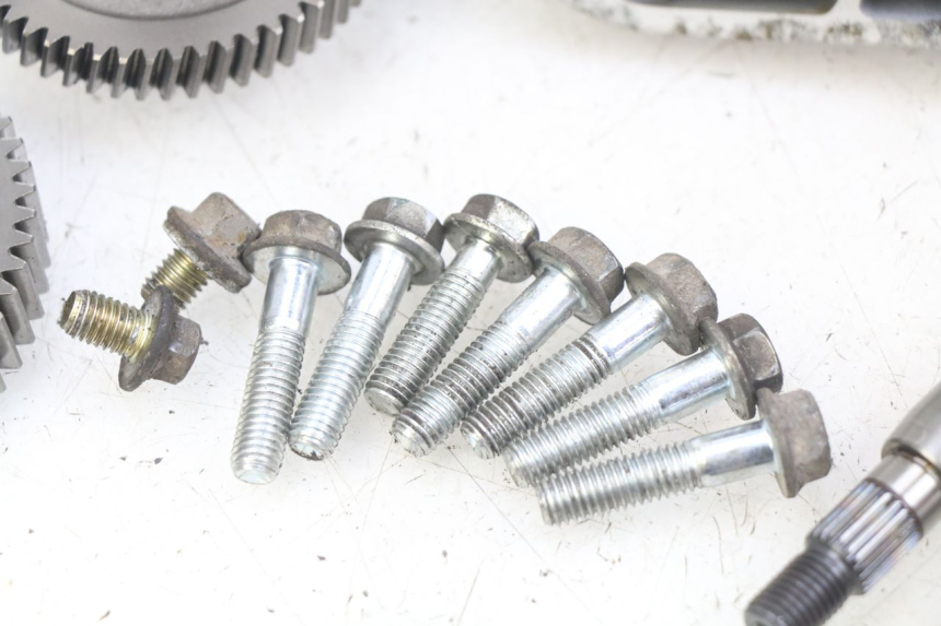 photo de RADANTRIEB SYM X-PRO 4T 50 (2014 - 2021) - Weitere Ansicht des Artikels