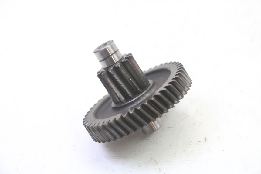 photo de RADANTRIEB PIAGGIO X9 EVOLUTION 125 (2003 - 2007) - Charakteristische Merkmale