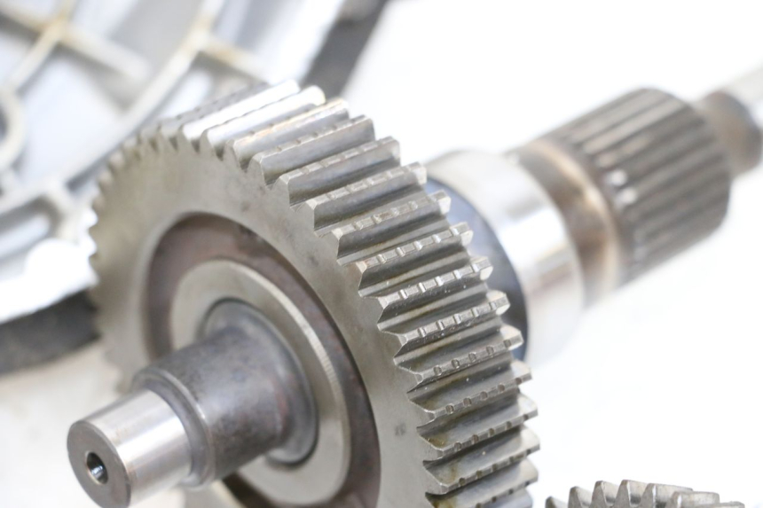 photo de RADANTRIEB PIAGGIO X9 125 (2000 - 2003) - Weitere Ansicht des Artikels