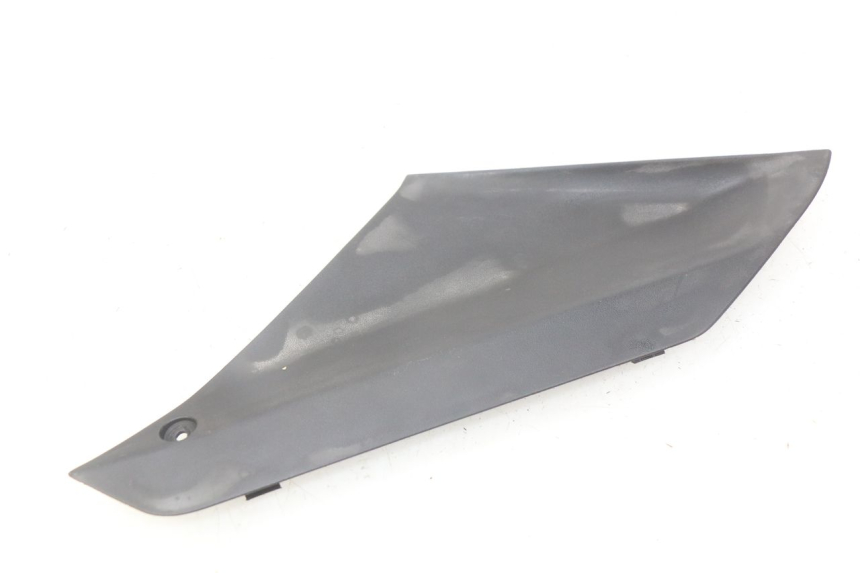 photo de LINKE INSPEKTIONSÖFFNUNGSKLAPPE PEUGEOT GEOPOLIS 400 (2007 - 2013) - Detailansicht des Bauteils