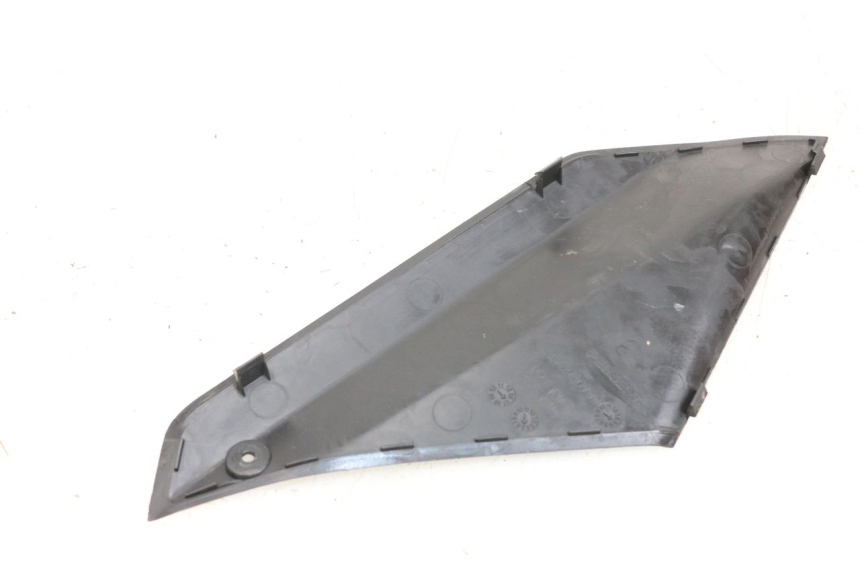 photo de  LINKS REVISIONSDECKEL PEUGEOT GEOPOLIS RS 125 (2007 - 2009) - Zoom auf Gebrauchszustand