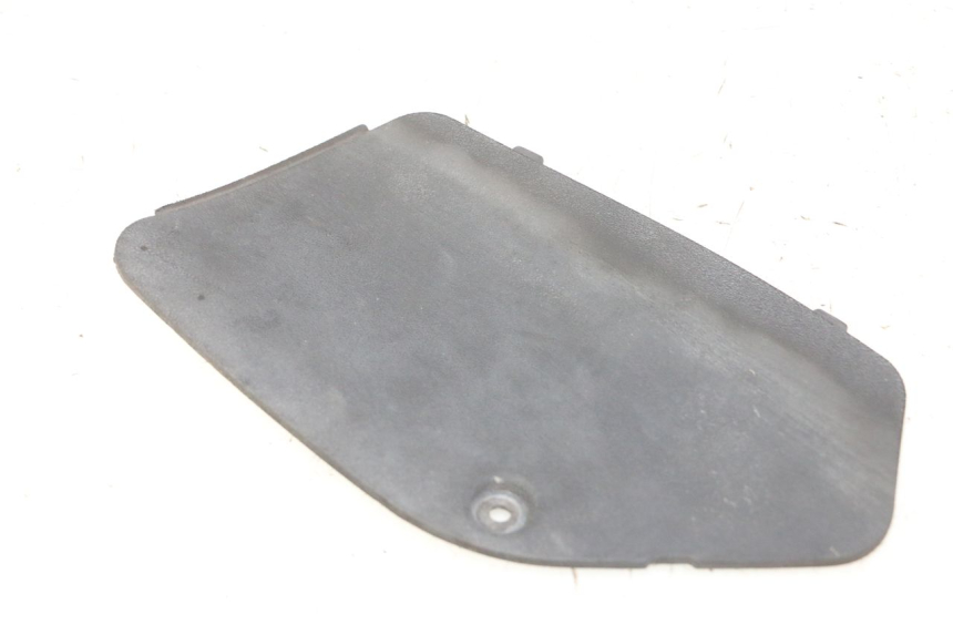 photo de LINKE INSPEKTIONSÖFFNUNGSKLAPPE PIAGGIO MP3 500 (2011 - 2015) - Hauptansicht