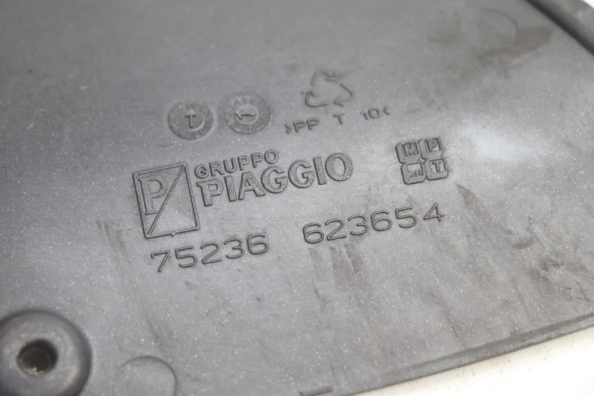 photo de  LINKS REVISIONSDECKEL PIAGGIO X8 STREET 125 (2006 - 2007) - Gesamtansicht des Produkts