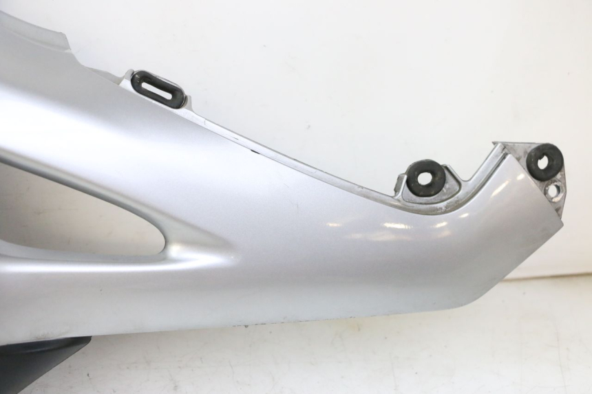 photo de KOFFERTRÄGER RECHT HONDA NTV DEAUVILLE 650 (2001 - 2006) - Fokus auf die Struktur