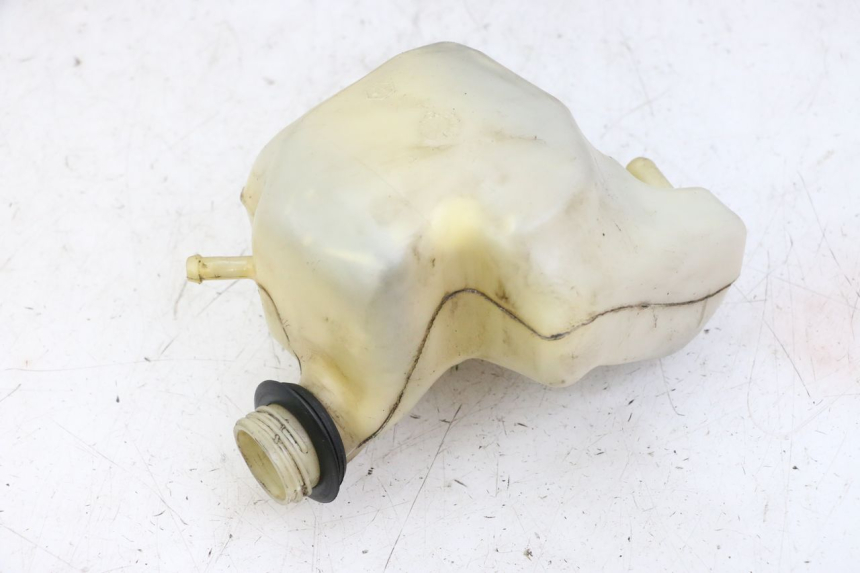 photo de KÜHLWASSERBEHÄLTER GILERA NEXUS 300 (2008 - 2013) - Hauptansicht