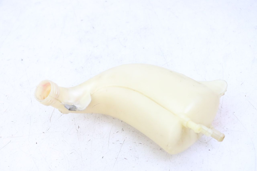 photo de AUSGLEICHSBEHÄLTER PIAGGIO MP3 LT 300 (2010 - 2016) - Technische Nahaufnahme