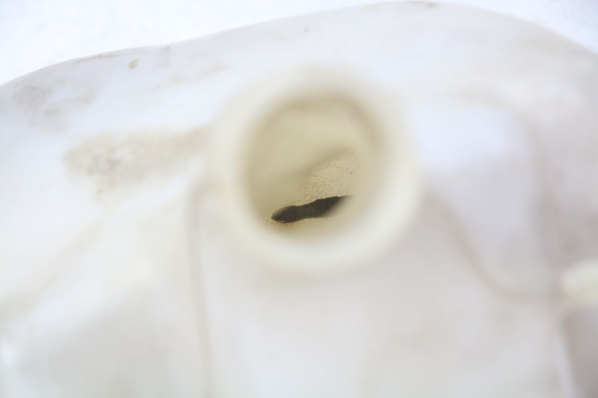 photo de AUSGLEICHSBEHÄLTER GILERA NEXUS 125 (2009 - 2013) - Detailansicht des Bauteils